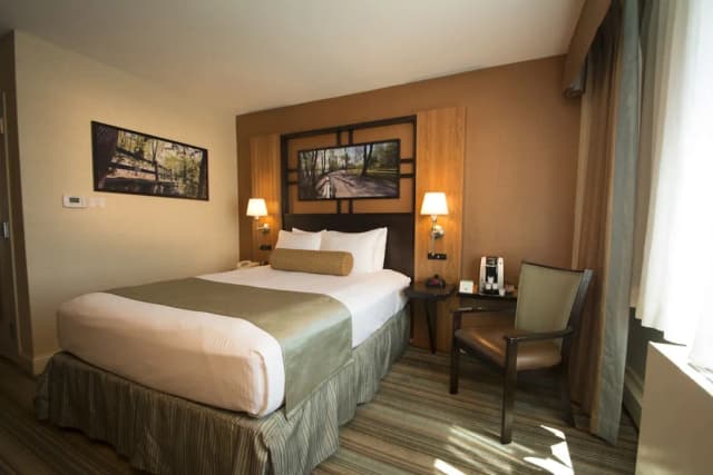 Best Western Queens Gold Coast-标准房, 1 张大床, 无障碍, 冰箱和微波炉-1