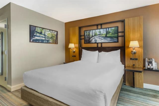 Best Western Queens Gold Coast-标准房, 1 张大床, 无障碍, 冰箱和微波炉-4