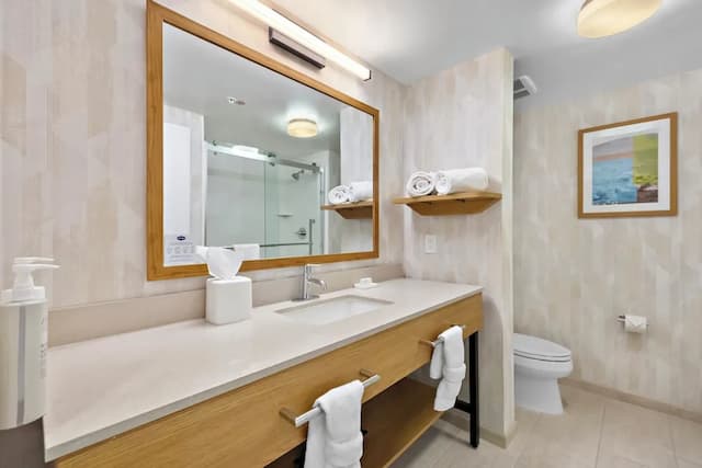 ハンプトン イン & スイーツ ランカスター-キングサイズベッド 1 台 (禁煙)-8