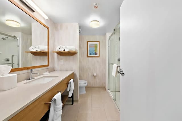 ハンプトン イン & スイーツ ランカスター-キングサイズベッド 1 台 (禁煙)-7