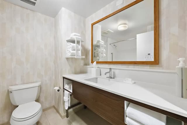 ハンプトン イン & スイーツ ランカスター-クイーンサイズベッド 2 台 (禁煙)-5