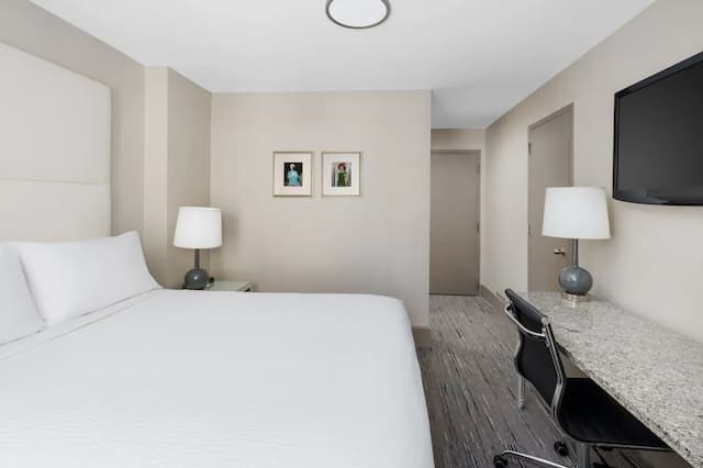 Holiday Inn Express Chicago - Magnificent Mile by IHG-Standard Room, 1 Queen Bed, Accessible (Mobility)-5