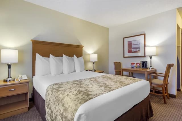 Best Western Seattle Airport Hotel-Standard Room, 1 Queen Bed, Accessible, Non Smoking (Walk-in Shower)-4