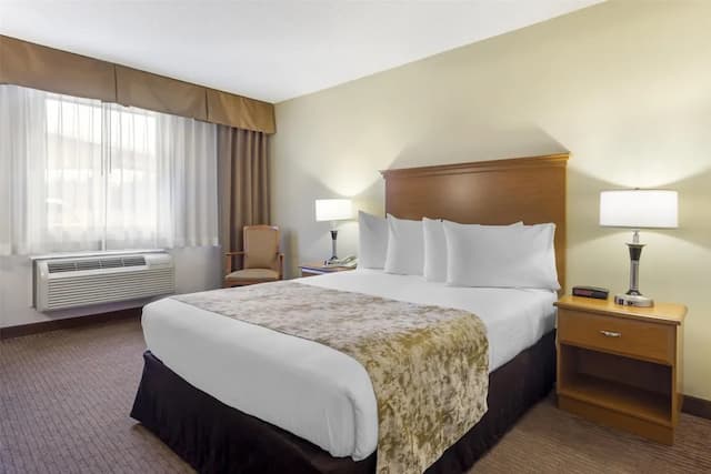 Best Western Seattle Airport Hotel-Standard Room, 1 Queen Bed, Accessible, Non Smoking (Walk-in Shower)-3
