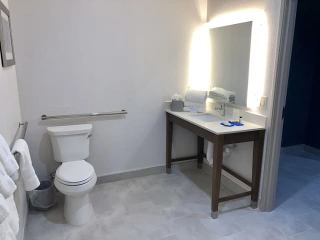 休士頓威斯切斯 - 韋斯特海默智選假日套房飯店 - IHG 旗下飯店-客房, 1 張特大雙人床, 無障礙 (Communications, Mobility)-6