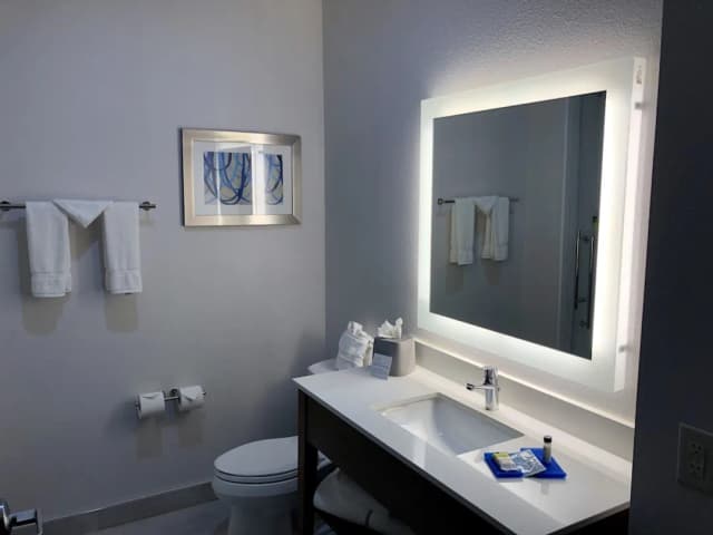 休士頓威斯切斯 - 韋斯特海默智選假日套房飯店 - IHG 旗下飯店-標準客房, 1 張特大雙人床-7