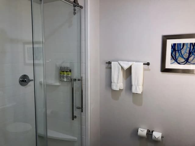 休士頓威斯切斯 - 韋斯特海默智選假日套房飯店 - IHG 旗下飯店-標準客房-7