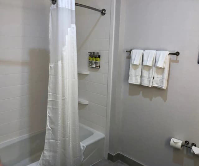 休士頓威斯切斯 - 韋斯特海默智選假日套房飯店 - IHG 旗下飯店-標準客房, 2 張加大雙人床-7