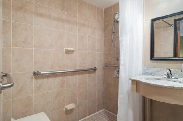 ホリデイ イン エクスプレス ニューヨーク シティ-ウォール ストリート by IHG-スタンダード ルーム キングベッド 1 台 (Walk In Shower, High Flr)-6