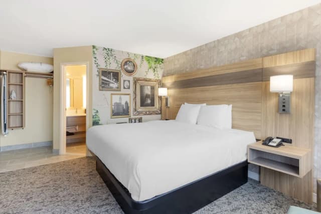 格倫維尤 - 芝加哥郊區貝斯特韋斯特套房飯店-標準客房, 1 張特大雙人床, 非吸煙房-3