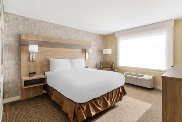 格倫維尤 - 芝加哥郊區貝斯特韋斯特套房飯店-標準客房, 1 張加大雙人床, 無障礙, 浴缸-2