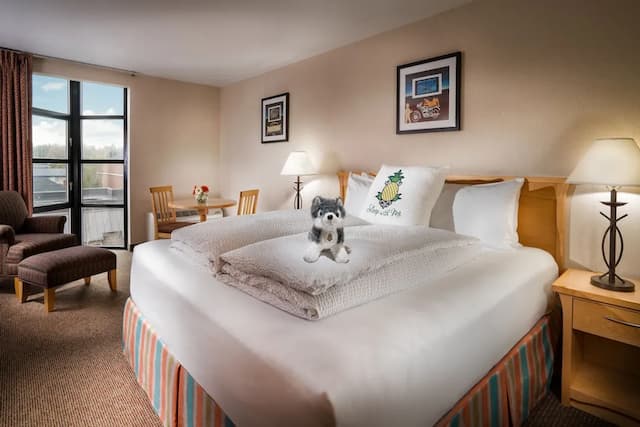 Staypineapple, University Inn, University District Seattle-Deluxe Room, 1 King Bed-1