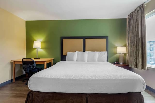 休士頓醫學中心布萊斯伍德大道美洲長住套房飯店-豪華開放式客房, 1 張特大雙人床和 1 張沙發床, 非吸煙房-1