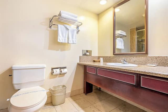 羅特克斯酒店-雙人房, 2 張加大雙人床-6