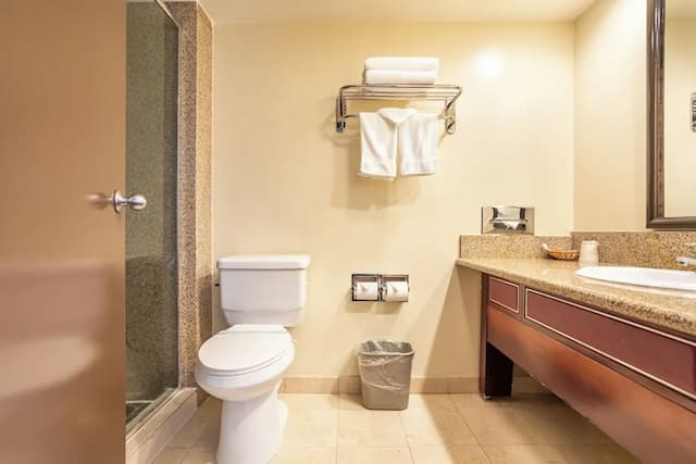 羅特克斯酒店-單人房, 1 張特大雙人床-8