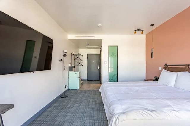 羅特克斯酒店-豪華單人房, 1 張特大雙人床-3