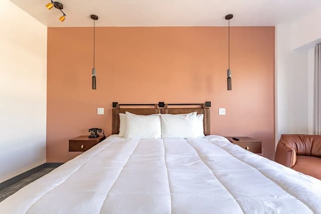 羅特克斯酒店-豪華單人房, 1 張特大雙人床-2