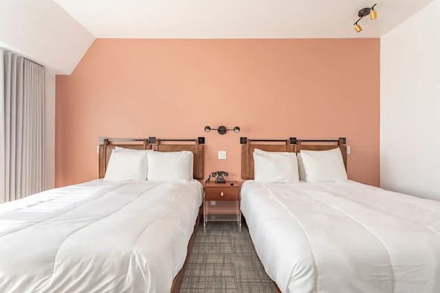 羅特克斯酒店-豪華雙人房, 2 張加大雙人床-3