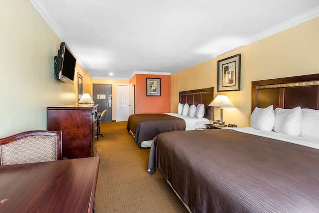 貝爾花園 - 洛杉磯凱藝套房酒店-標準客房, 多張床, 非吸煙房-2