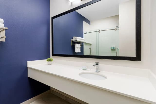 Fairfield Inn & Suites Houston The Woodlands-套房, 1 张特大床和 1 张沙发床 (Hearing Accessible)-5