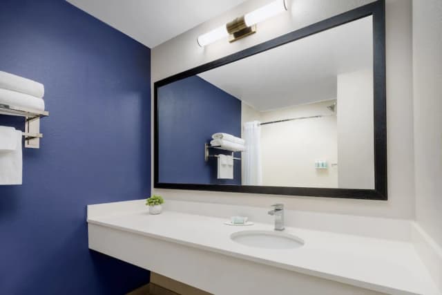 Fairfield Inn & Suites Houston The Woodlands-客房, 1 张特大床-7