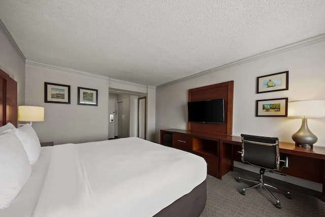 컴포트 인 바이 더 베이-트래디셔널룸, 킹사이즈침대 1개, 베이 전망-10