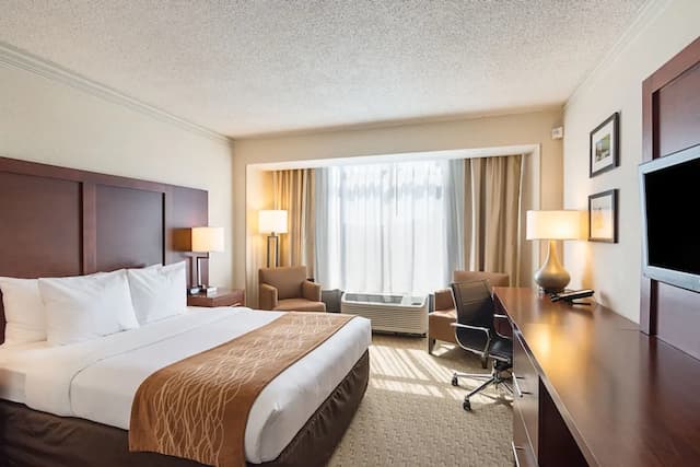 컴포트 인 바이 더 베이-트래디셔널룸, 퀸사이즈침대 1개-3