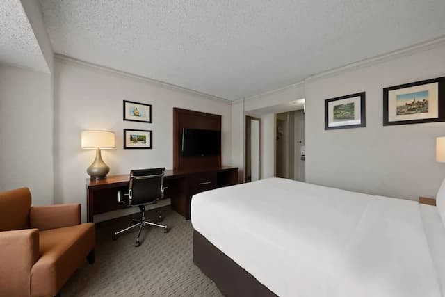 컴포트 인 바이 더 베이-트래디셔널룸, 퀸사이즈침대 1개, 시내 전망-8