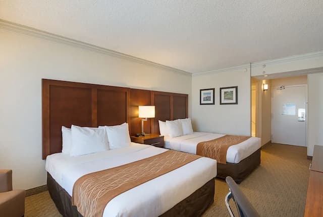 컴포트 인 바이 더 베이-트래디셔널룸, 퀸사이즈침대 2개-2