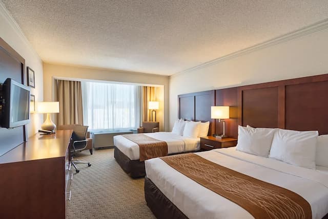 컴포트 인 바이 더 베이-트래디셔널룸, 퀸사이즈침대 2개-4