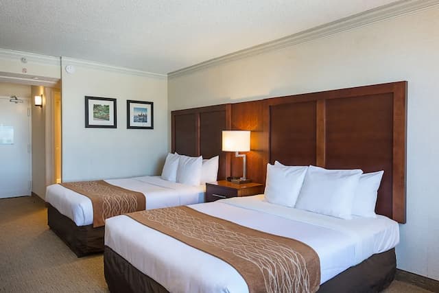 컴포트 인 바이 더 베이-트래디셔널룸, 퀸사이즈침대 2개, 베이 전망-4