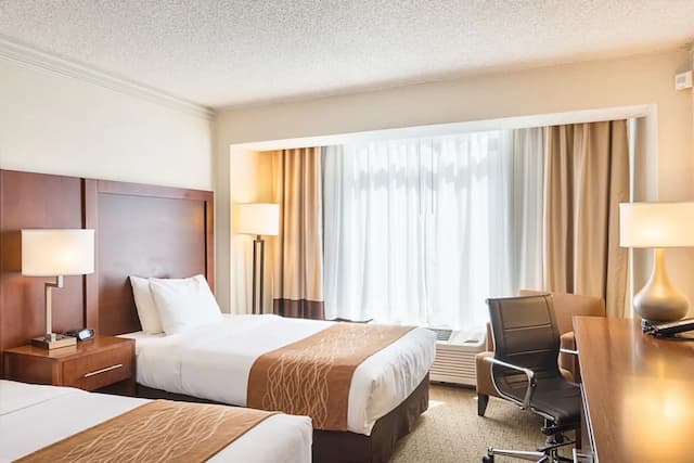 컴포트 인 바이 더 베이-트래디셔널룸, 싱글침대 2개-2