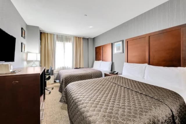 Hotel Pergola JFK Airport-华丽双人房, 吸烟房-1