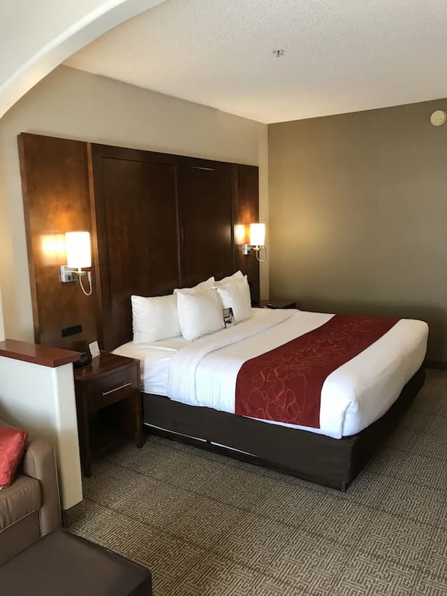 컴포트 스위트 - 식스플래그 매직마운틴 인근-Studio Suite, 1 king bed with sofa bed-18