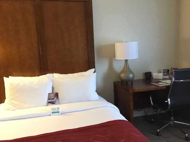 컴포트 스위트 - 식스플래그 매직마운틴 인근-Studio Suite, 1 king bed with sofa bed-5