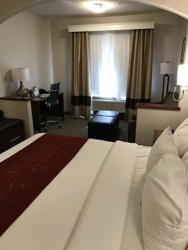컴포트 스위트 - 식스플래그 매직마운틴 인근-Studio Suite, 1 king bed with sofa bed-14