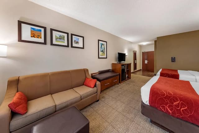 コンフォート スイーツ ニア シックス フラッグス マジック マウンテン-スイート クイーンベッド 2 台 バリアフリー 禁煙-5