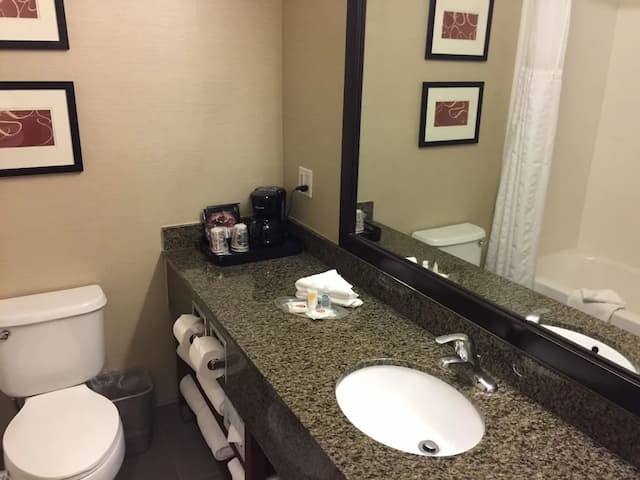 コンフォート スイーツ ニア シックス フラッグス マジック マウンテン-スイート クイーンベッド 2 台 バリアフリー 禁煙-4