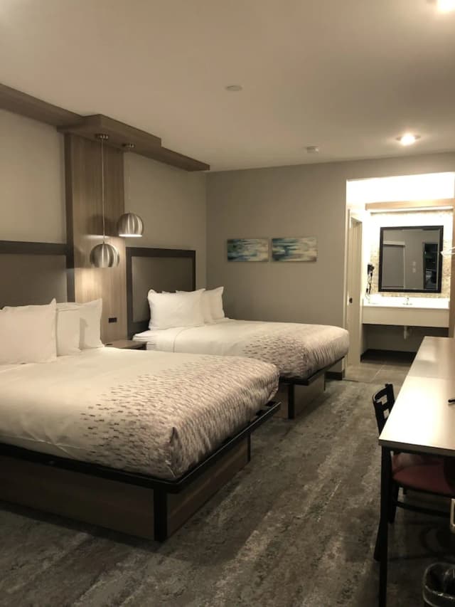 Hotel Solara Hobby Airport-Standard Double Room, 2 Bedrooms-2
