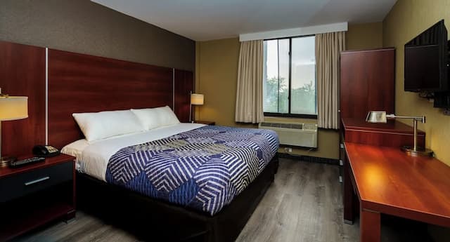 スカイ ホテル フラッシング/ラガーディア エアポート-ビジネス スイート-1