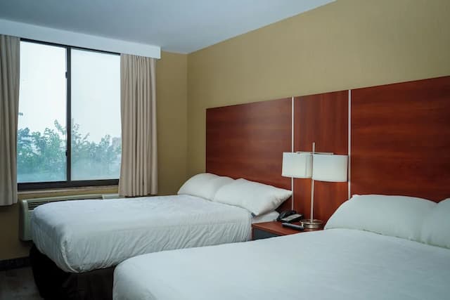 スカイ ホテル フラッシング/ラガーディア エアポート-ビジネス ダブルまたはツインルーム-3