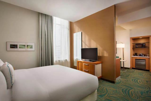 스프링힐 스위츠 바이 메리어트 휴스턴 다운타운/컨벤션 센터-스튜디오, 킹사이즈침대 1개 및 소파베드-2