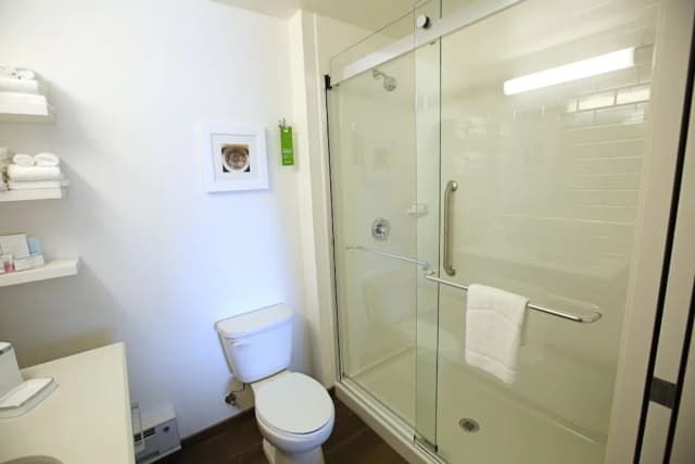 芝加哥市中心北圓環密西根大道歡朋酒店-King Room, 客房, 1 張特大雙人床, 非吸煙房-5