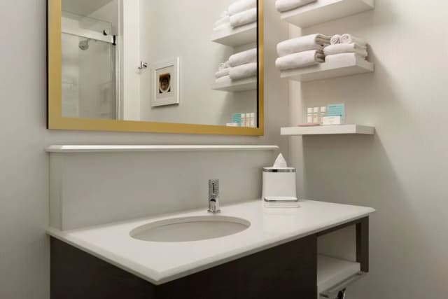 Hampton Inn Chicago Downtown/N Loop/Michigan Ave-Room, Accessible, Non Smoking (Roll-in Shower)-4