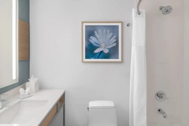 ヒルトン ガーデン イン クイーンズ /JFK エアポート-ルーム ダブルベッド 2 台 (Drinks & Snacks)-4