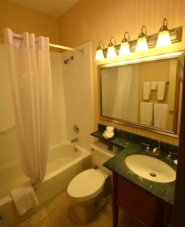 Adria Hotel And Conference Center-客房, 1 张大床, 按摩浴缸-4