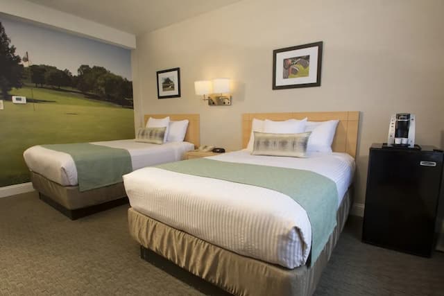 Adria Hotel And Conference Center-华丽双人房, 2 张双人床, 无烟房-4