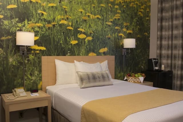 Adria Hotel And Conference Center-华丽客房, 1 张大床, 无烟房-2