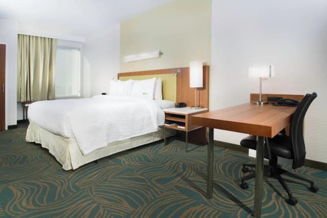 Springhill Suites Houston Westchase-Studio, 1 King Bed with Sofa bed-3