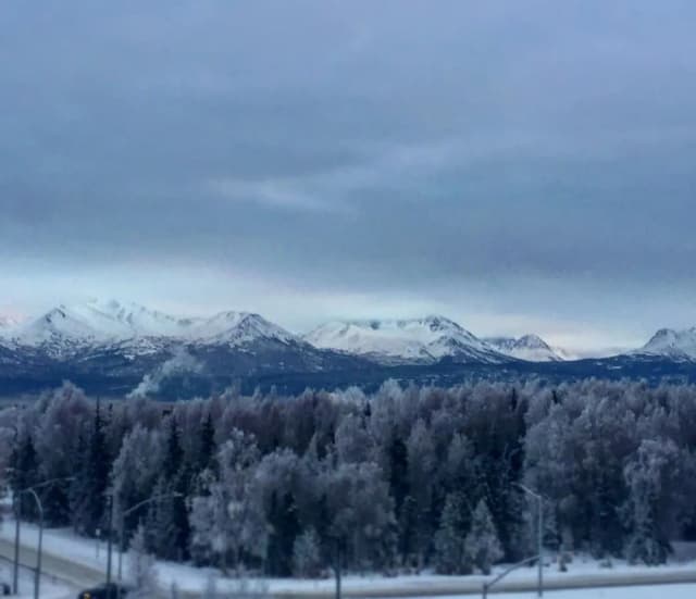 安克拉治/中城希爾頓惠庭飯店-開放式客房, 1 張加大雙人床-3